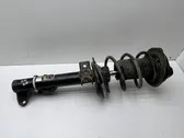 Front shock absorber with coil spring