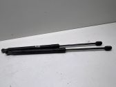 Tailgate/trunk strut/damper