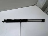 Tailgate/trunk strut/damper