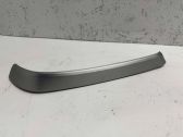 Other rear door trim element
