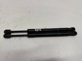 Tailgate/trunk strut/damper