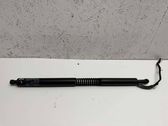 Tailgate/trunk strut/damper