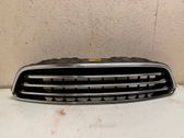 Front grill