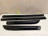 Front door trim (molding)