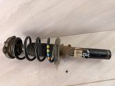 Front shock absorber with coil spring