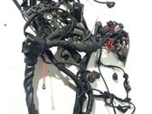 Engine installation wiring loom