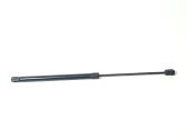 Front bonnet/hood damper/strut