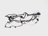 Front door wiring loom