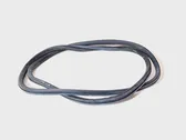 Front door rubber seal