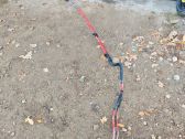 Positive cable (battery)