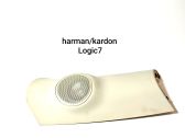 Rear door speaker