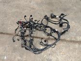 Engine installation wiring loom