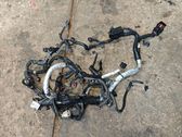 Faisceau de câblage pour moteur
