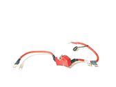 Positive cable (battery)