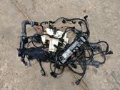 Faisceau de câblage pour moteur