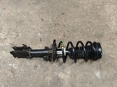 Front shock absorber with coil spring
