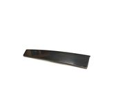 Rear door glass trim molding