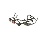 Rear door wiring loom