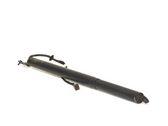 Tailgate/trunk strut/damper