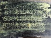 Revestimientos de la aleta antisalpicaduras delanteros