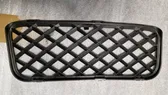 Front bumper lower grill