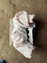 Passenger airbag