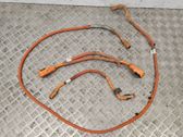Other wiring loom