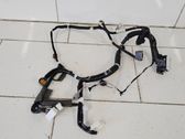 Front door wiring loom
