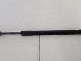 Tailgate/trunk strut/damper