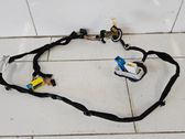 Other wiring loom