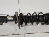 Amortiguador delantero con muelle espiral