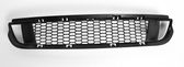 Front bumper lower grill