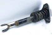 Front shock absorber/damper