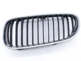 Front bumper upper radiator grill