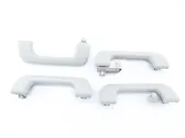 A set of handles for the ceiling