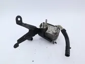 Radiatore del carburatore (radiatore)