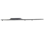 Front sill trim cover