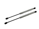 Tailgate/trunk strut/damper