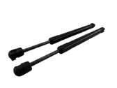 Tailgate/trunk strut/damper