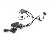 Rear door wiring loom
