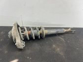 Front shock absorber with coil spring