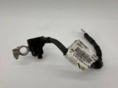 Negative earth cable (battery)