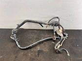 Wires (starter motor)