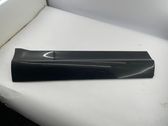 Rear door trim (molding)
