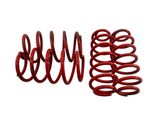 Set of springs and shock absorbers (Front and rear)