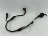 Cableado del sensor ABS trasero