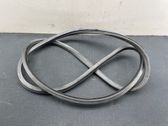 Rubber seal front door (on door)