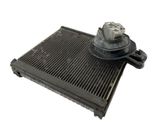 Air conditioning (A/C) radiator (interior)