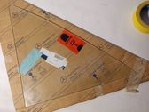 Rear door window glass