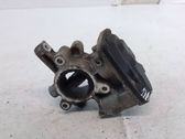 Throttle body valve